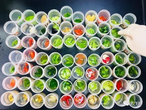 武漢節(jié)前農(nóng)產(chǎn)品質(zhì)量安全獲堅(jiān)實(shí)保障，189批次抽檢結(jié)果全數(shù)合格